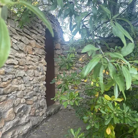 住宿加早餐酒店 Mas Vigneron