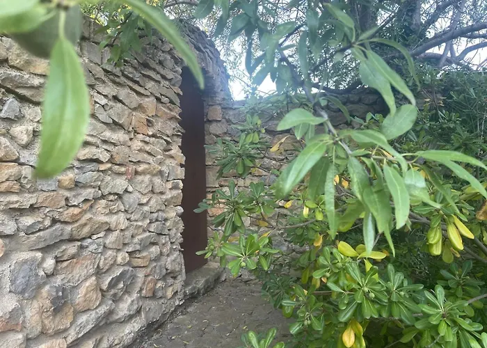 Alojamento de Acomodação e Pequeno-almoço Mas Vigneron