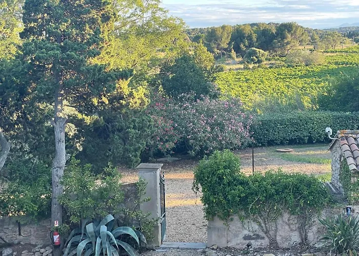 Alojamento de Acomodação e Pequeno-almoço Mas Vigneron *